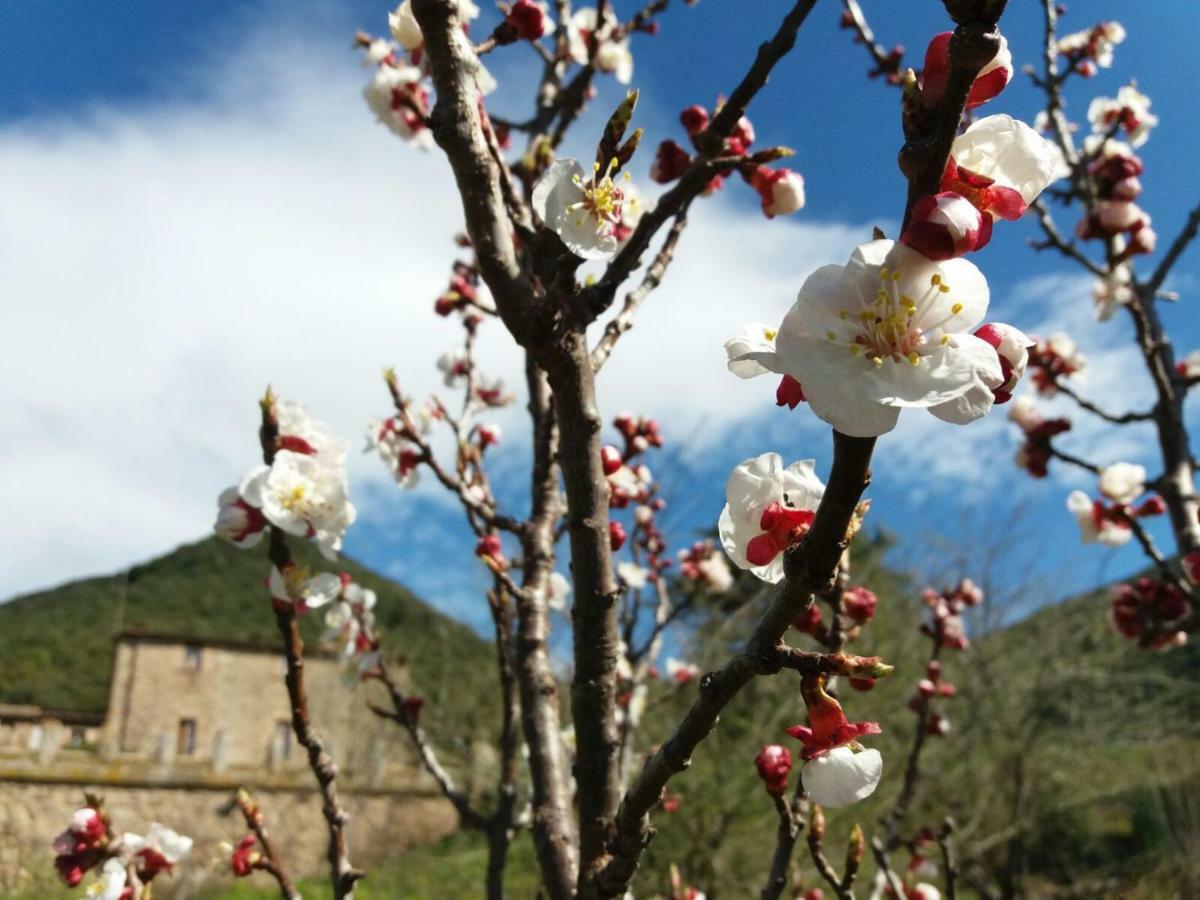 Masia De Vallforners Tagamanent 外观 照片